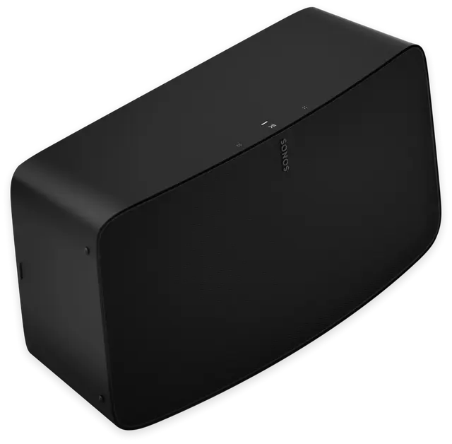 Custom weatherloc Treatment for Sonos Five Speaker