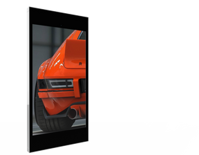 Placard VP Series Single Portrait Style Wall Display