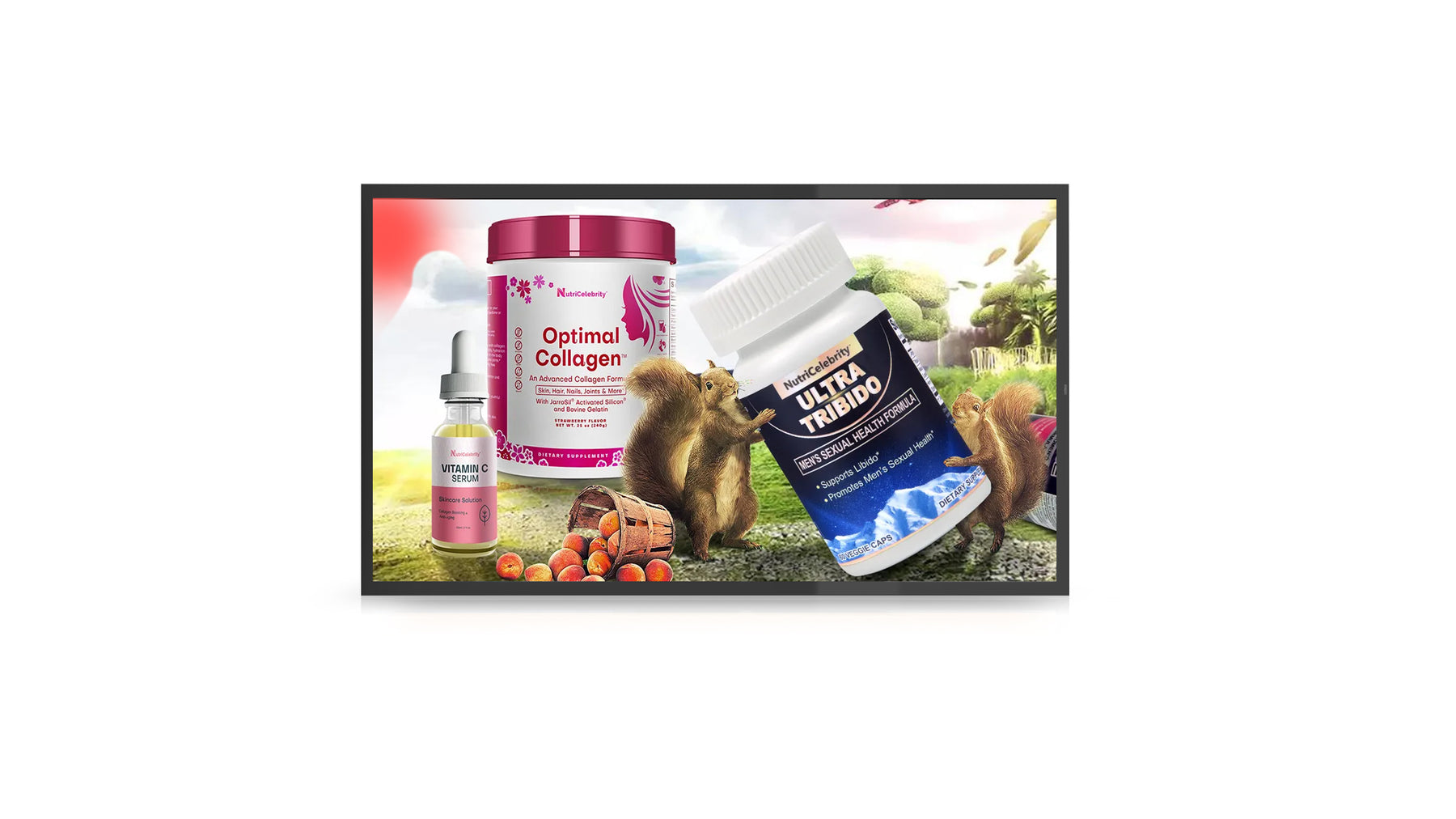 Vanguard Series 55" Landscape Display