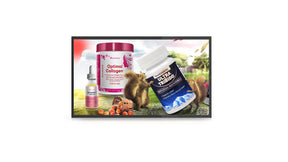 Vanguard Series 55" Landscape Display